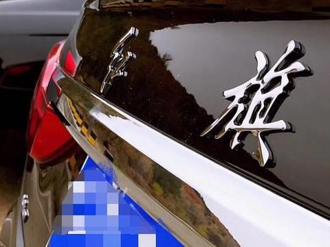 小伙开红旗回农村，村里愣是以为来了大领导，比奔驰还有面子