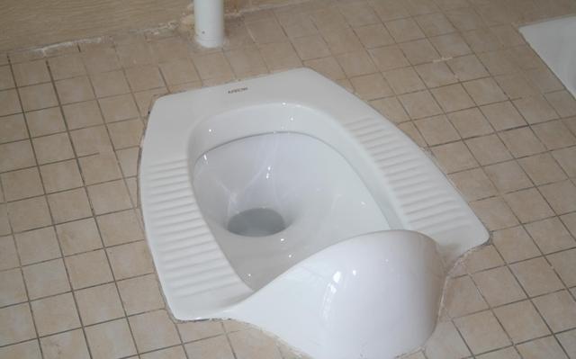 装浴缸的卫生间不适合装蹲便器么?