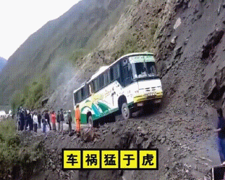 车祸猛于虎!鸭子高速路坐轿车后面暸望风景!