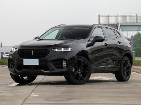 这款国产豪车SUV，只卖十多万，开回老家面子十足！