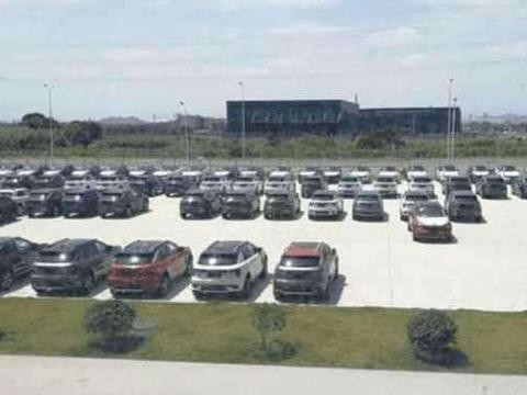 上千台领克01整齐摆放, 欲出口海外与奥迪争夺市场