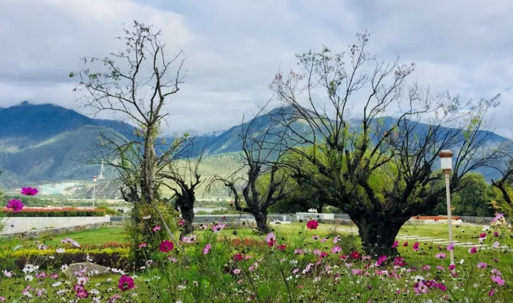 谁说去西藏要越野车还要十天半个月,五天加一辆轿车就够了
