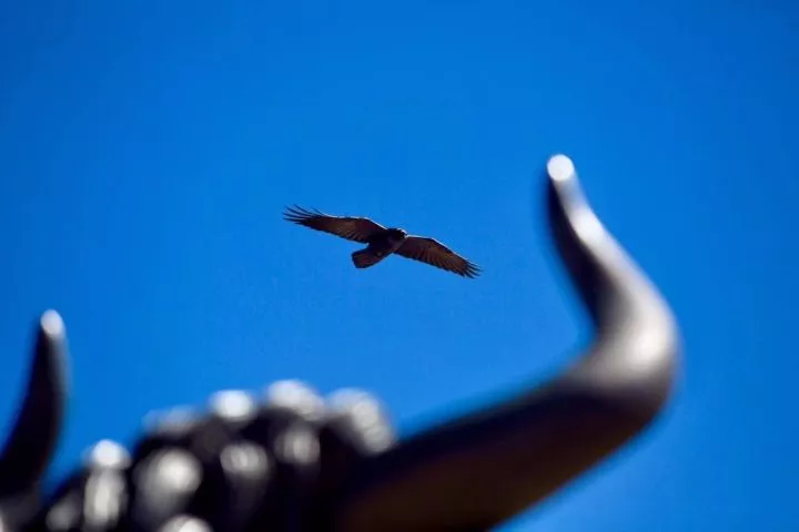 谁说去西藏要越野车还要十天半个月,五天加一辆轿车就够了