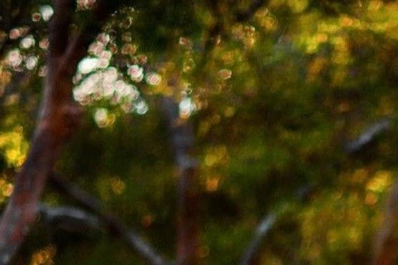 阿斯顿马丁再造跑车，颜值比one-77还高，一旦量产，势必大卖！