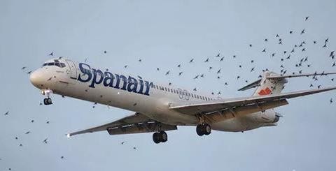 人类在测试汽车性能的时候还真是“煞费苦心”