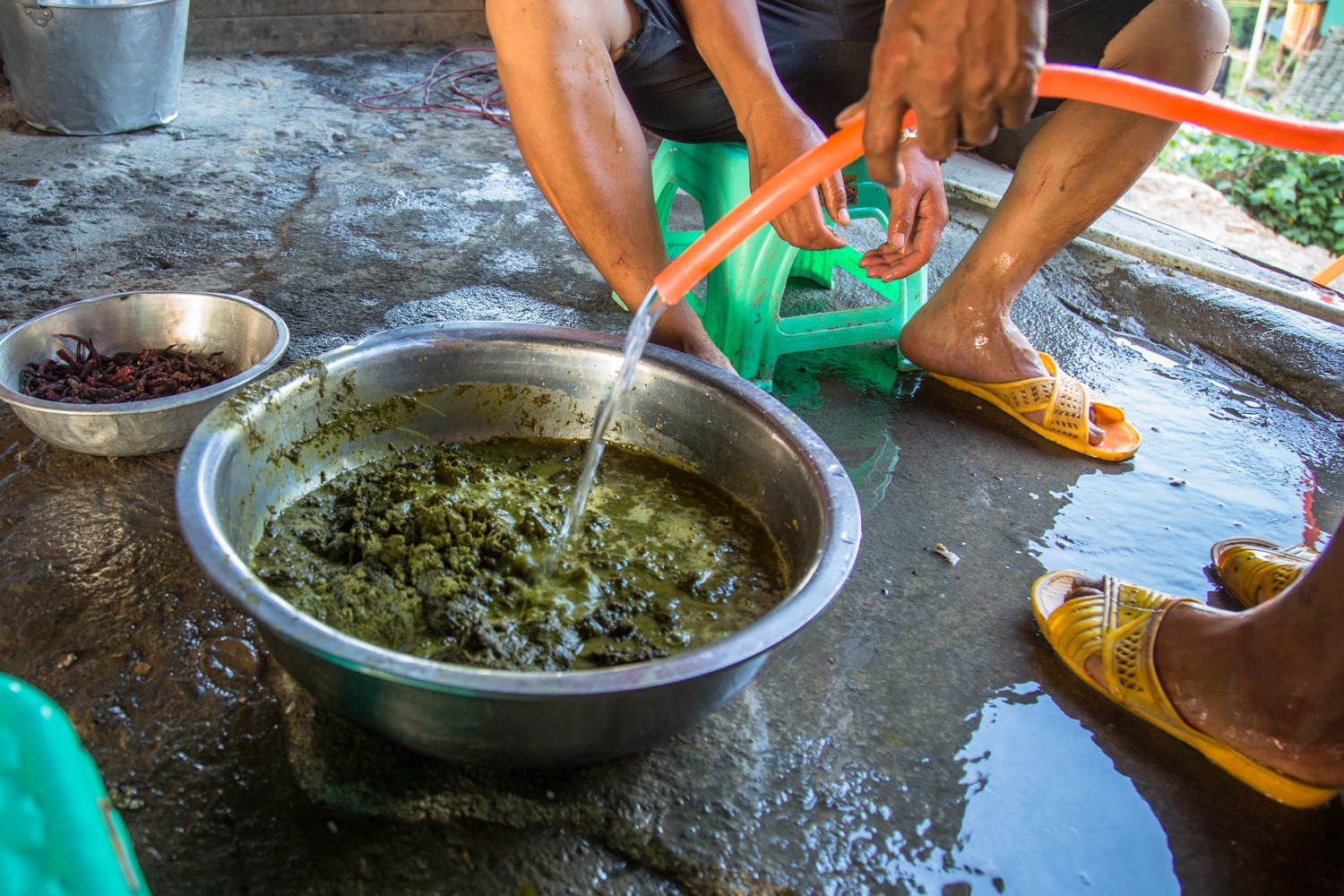山村来了新老师 村里杀羊取瘪吹芦笙欢迎