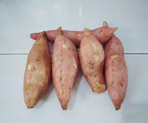 不加一滴水，用电饭煲做烤红薯，方法免费教给大家