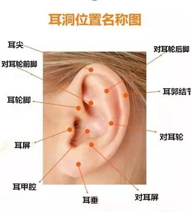 该怎么选择打耳洞的部位?|耳环|材质|耳朵