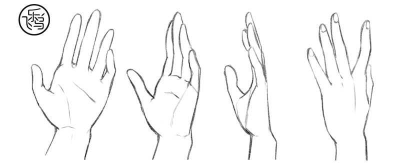 手绘素材 | 7个常见手部姿势的画法