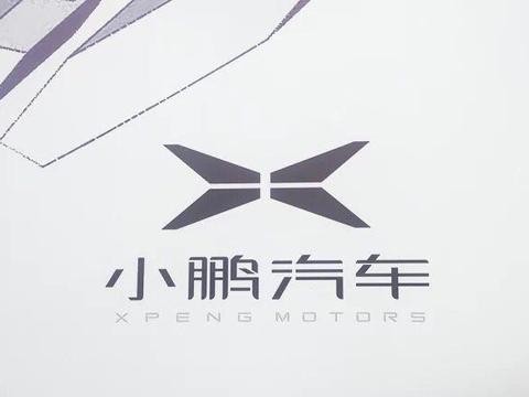 想做纯电动SUV的颜值担当！可这颜值没法担当，名字更土！