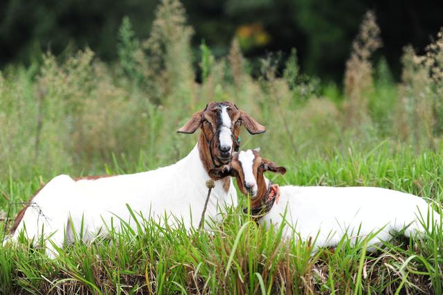 女人,最想要的3种男颜知己,你知道吗?