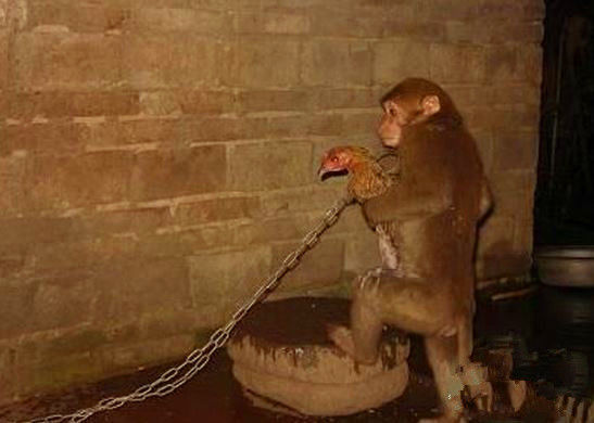 笑看人生百态020的微博