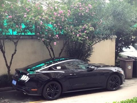 拿着买大众辉昂的钱提了这车，现在却油门都不敢踩了