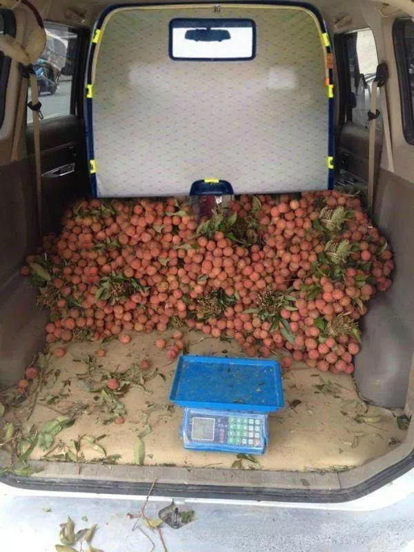 你永远猜不到五菱宏光车内到底装的什么?