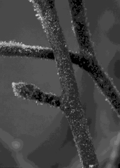 50张动图里的物理化学生物世界,99%的人都没看过!专业解释版