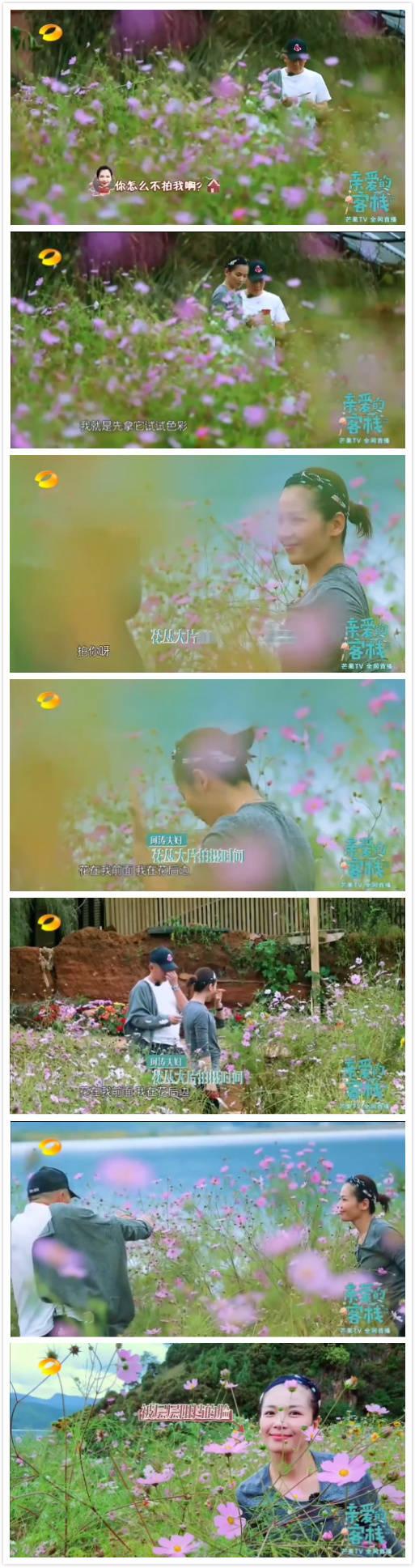 亲爱的客栈王珂照刘涛一脸花坑老婆 阚子清砍价对半吓呆易烊千玺
