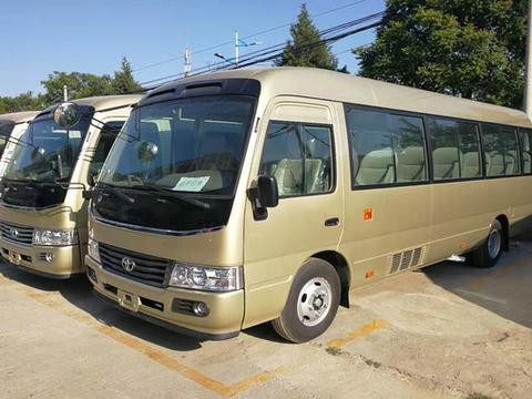 丰田柯斯达12座陆地头等舱 至尊版内饰配置图