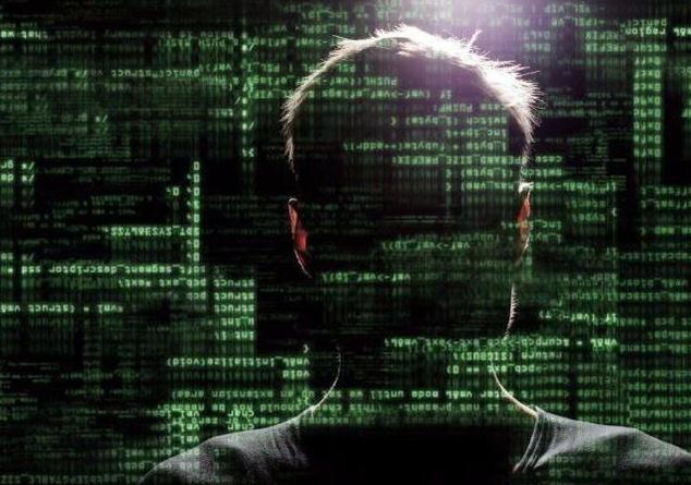 黑客日记 大名鼎鼎的黑客现在都在干什么?(. 来