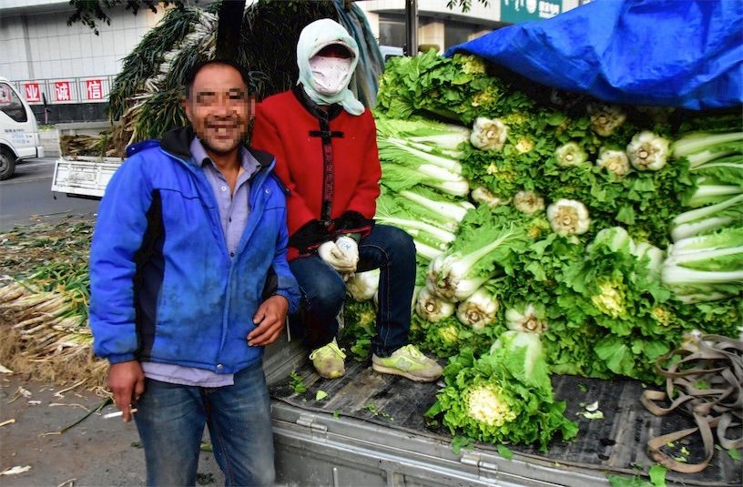 内蒙大白菜两毛五一斤,菜农路边卖不动,也不肯到小区