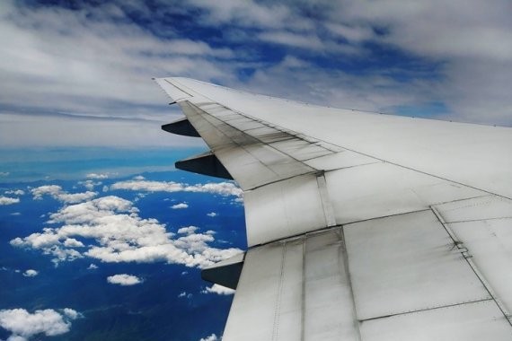 飞跃亚马逊：供灵魂呼吸的地方漫漫长河丛林中的生灵嬉戏（上）