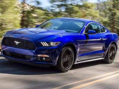 买了这台野马，爷爷奶奶看到后很开心