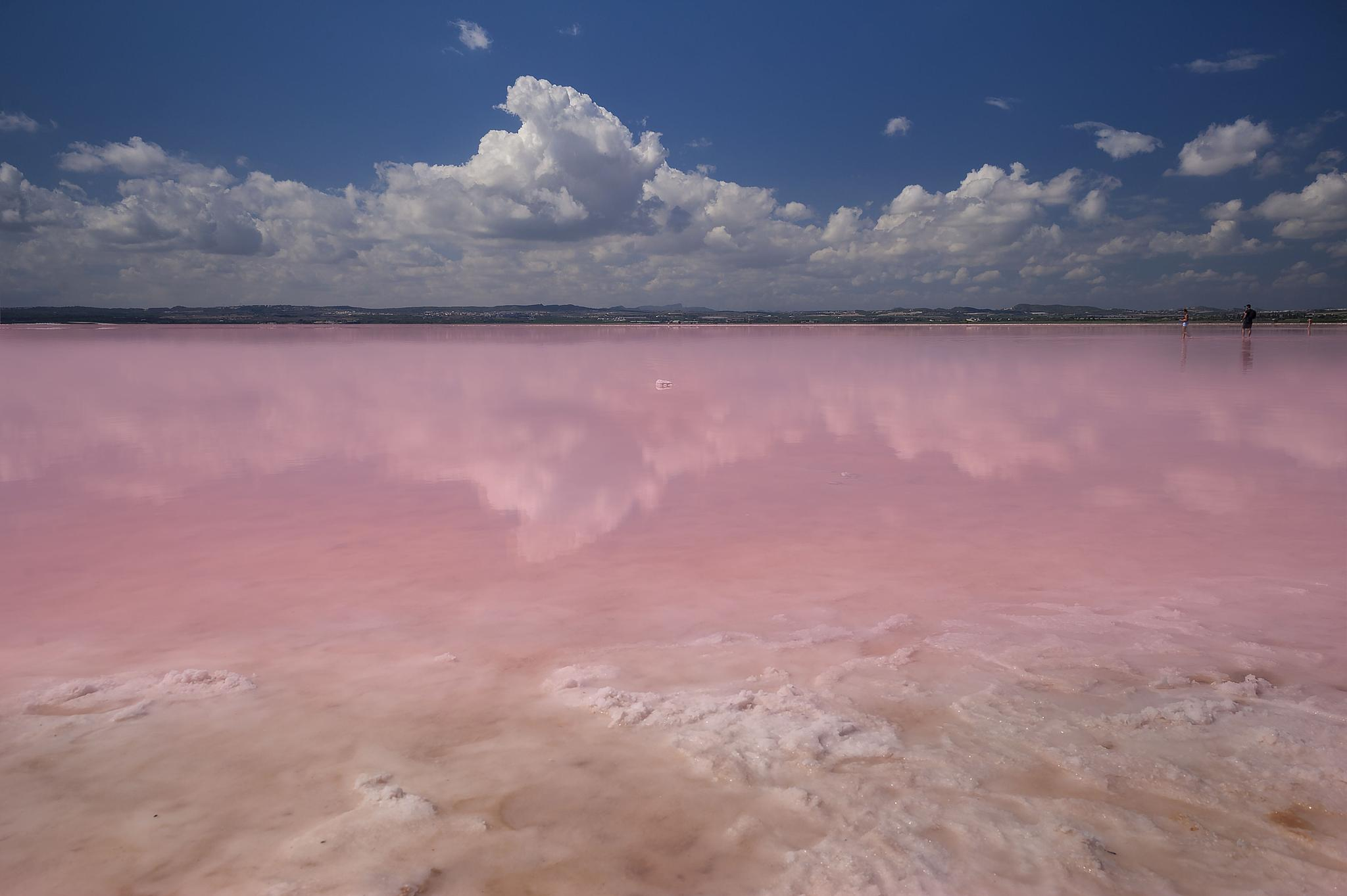 法国梦幻粉色盐湖 - 献给仍然相信浪漫的你 - 知乎