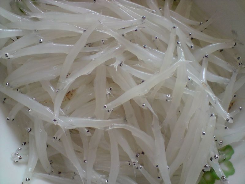 孕期吃银鱼好处多,但吃银鱼的这些食用禁忌,你知道几个?