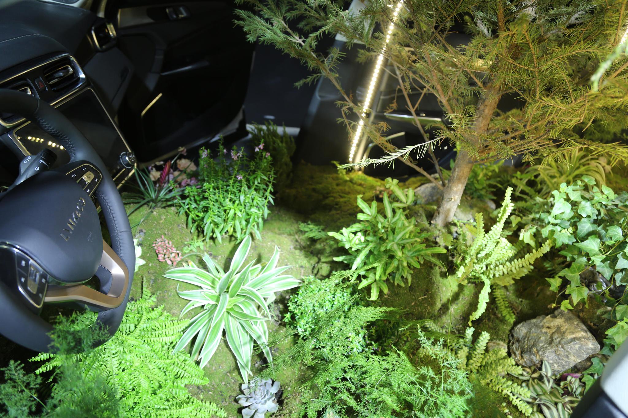 北欧森林,领克01准量产车,2017苏州车展实拍!