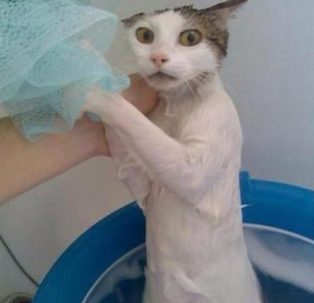 幽默搞笑:大神回复:例假期间就不要出来游泳了