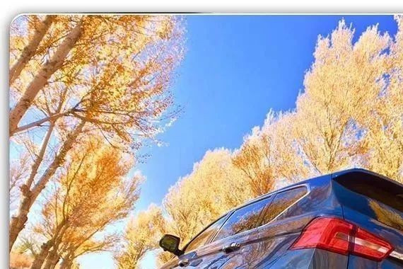 双T扛大旗，景逸X5、X6金秋十月邂逅胡杨林｜车业杂谈