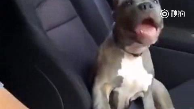 第一次坐跑车的你，就是这样子的，哈哈