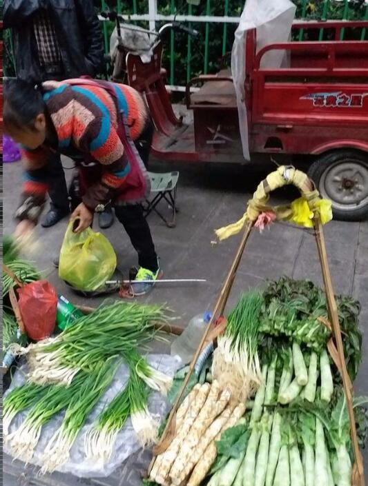 苗族露水集市, 蔬菜新鲜水灵绿色, 卖菜大爷大娘淳朴厚道