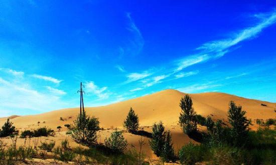 全球首个沙漠变绿洲!中国再获世界之最!