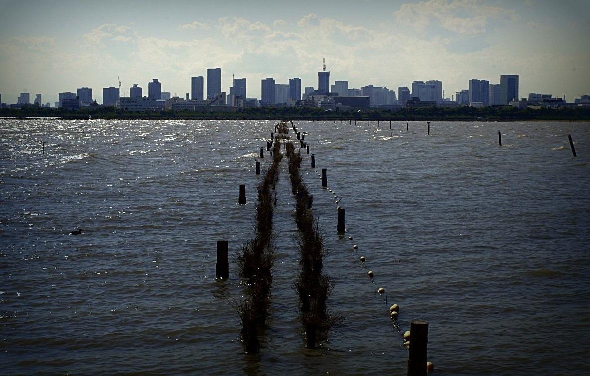 全球最短国家陆地边界,仅有150米,堵死另外两