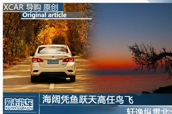 海阔凭鱼跃天高任鸟飞 轩逸纵贯北大荒