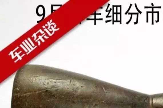 高低两端增长，中端低迷，9月轿车市场呈纺锤形增长｜车业杂谈