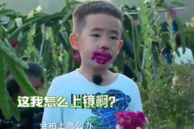 陈小春儿子吃火龙果吃得满嘴红汁 担心会被拍下来