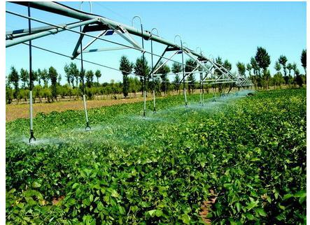 中国工资最高的5大职业 未来五大不被取代的职业