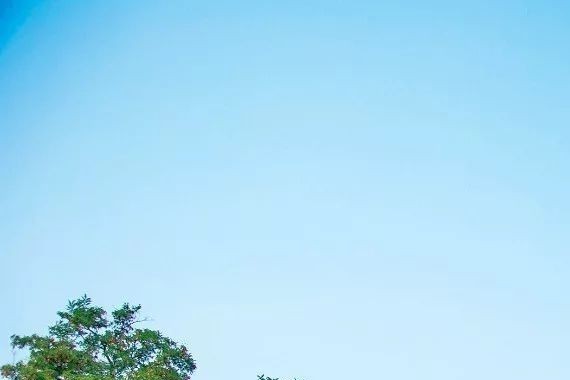 【SUV天地】长安马自达第二代Mazda CX-5  感官觉醒