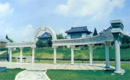 为什么武汉大学排名那么靠前, 却没有入选C9?