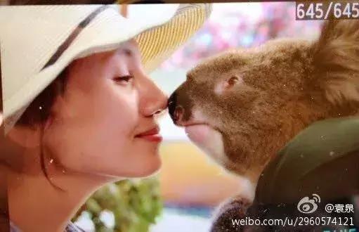 啊啊啊啊啊,太美了吧!