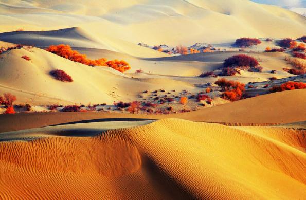 塔克拉玛干沙漠腹地现湖群,比巴西千湖沙漠还美,却鲜为人知!