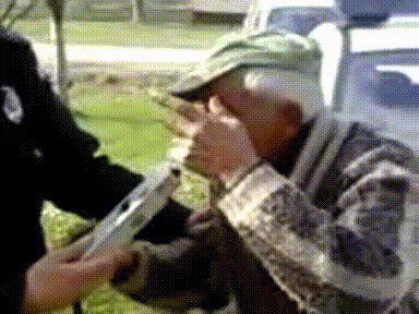 384_288gif 动态图 动图