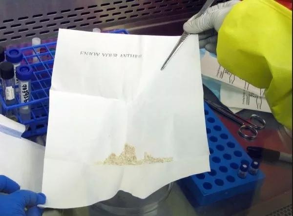 剧毒之岛:前苏联制造的真实版生化危机