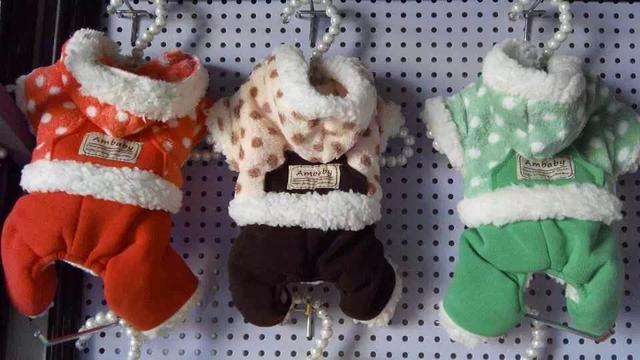 2018年中国宠物行业市场前景分析及中国宠物