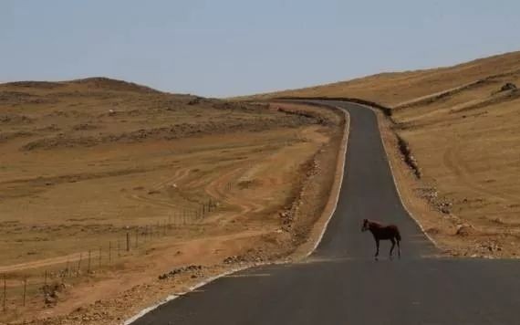 扯谈 | 一场说走就走的自驾旅行，能不能治愈感情的伤痛？