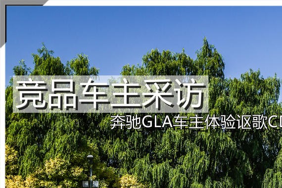 竞品车主采访 奔驰GLA车主体验讴歌CDX