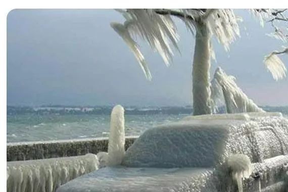 天冷注意保暖，同时也别忘了爱车的保养｜车业杂谈