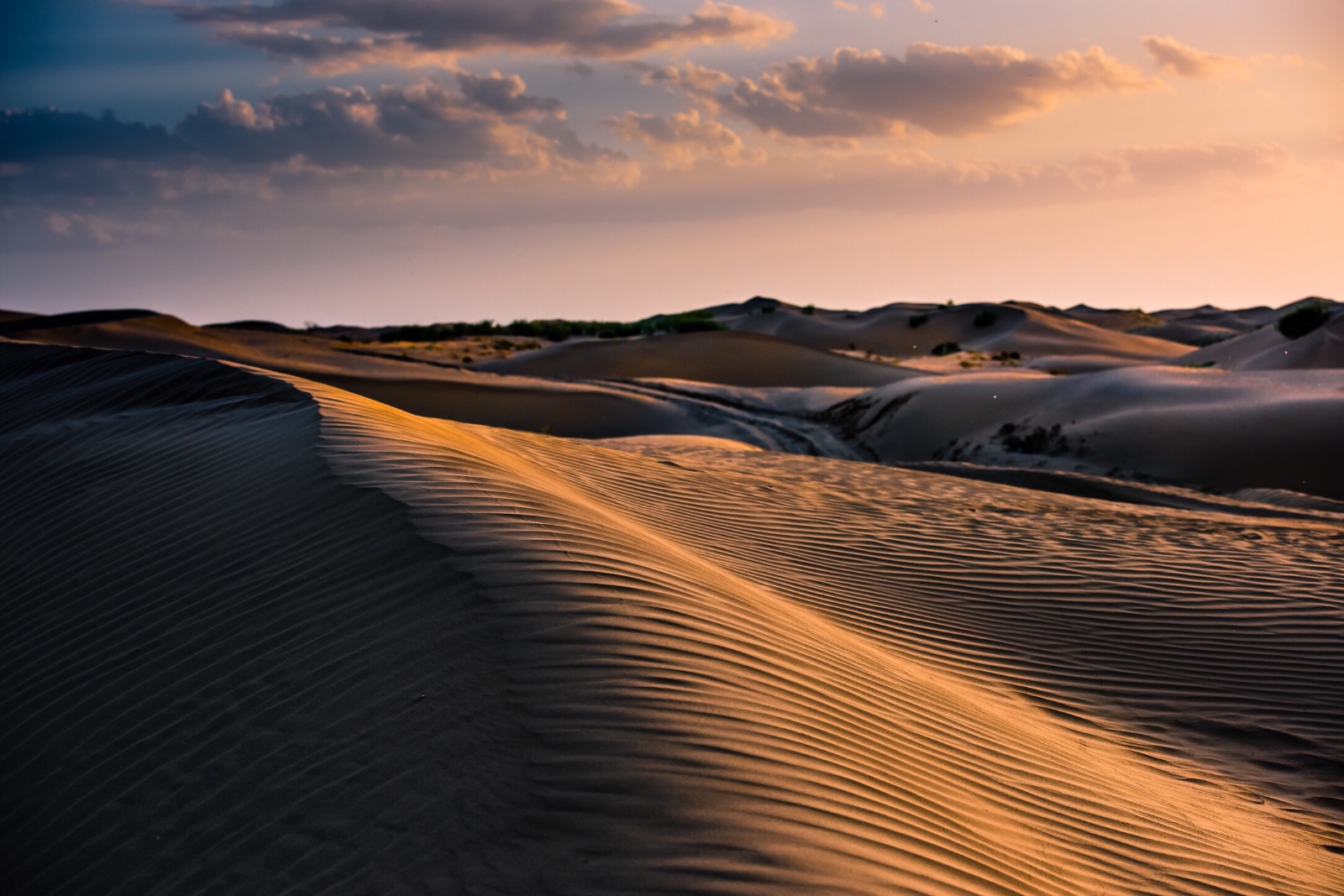 库布齐-大沙漠,小足迹_新浪看点