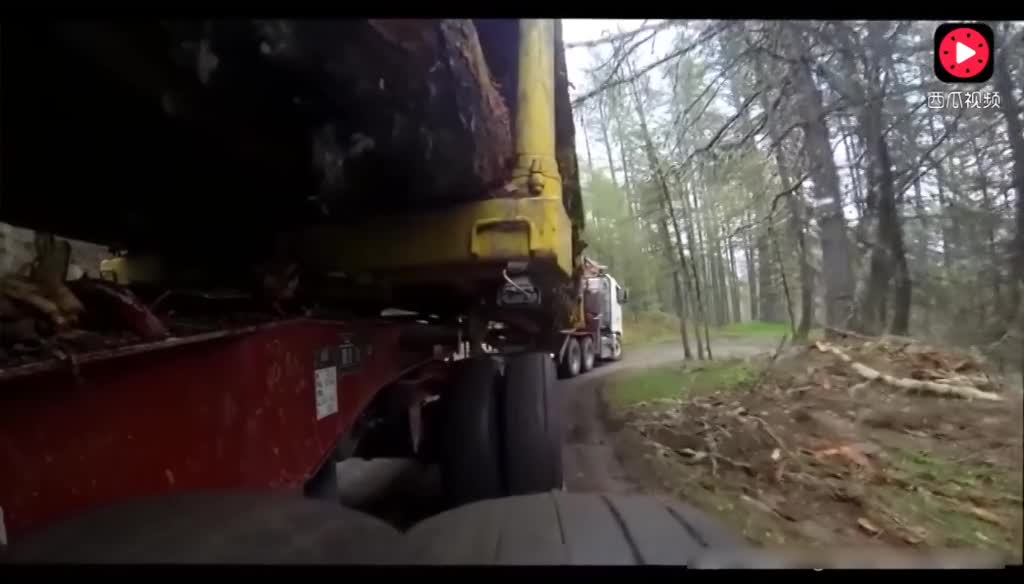 我20年的车技都办不到这样，卡车运输16米长原木过这种弯道